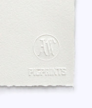 Load image into Gallery viewer, "Watcher" Etching