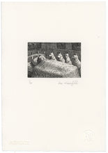 Load image into Gallery viewer, &quot;Siesta&quot; Etching
